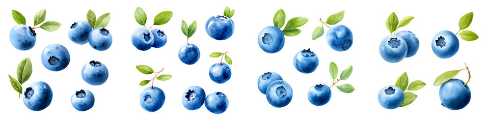 Fresh organic blueberries with leaves on white background