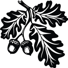 An oak branch with two acorns showcases the beauty of nature artfully