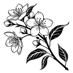 Blooming flowers adorn a branch, their monochrome petals creating a striking floral botanical nature outline