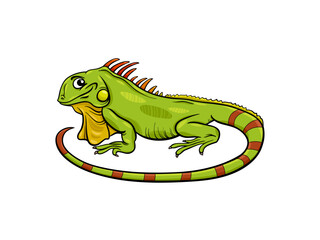 Green Iguana Lizard Wildlife Reptile Nature Animal Exotic Tropical Crested