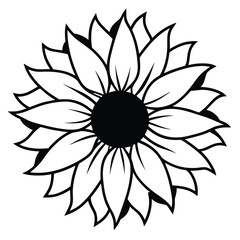 Fototapeta premium Detailed black and white sunflower illustration featuring many petals and striking botanical symmetry