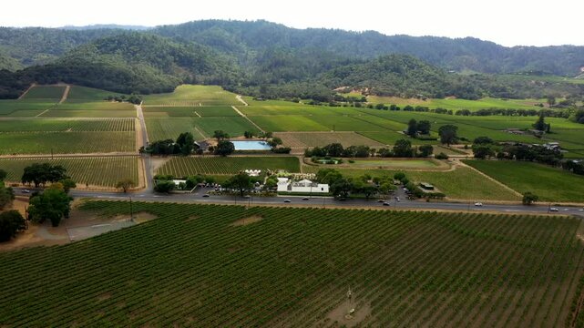 Sweeping drone overview across Napa Valley vineyards during late afternoon light