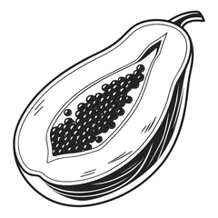 Detailed monochrome papaya half presents an intricate seed cluster and clean line art