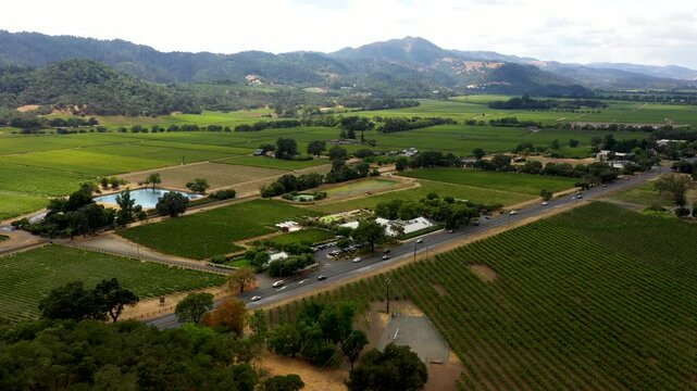 Smooth aerial orbit of symmetrical Napa Valley vineyards with scenic surrounding hills