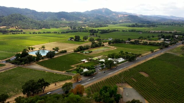 Aerial tracking ascend overview of rows of vineyards with expansive farmland backdrop