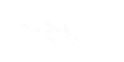 Sparkling White Dust Trail Glitter Effect.