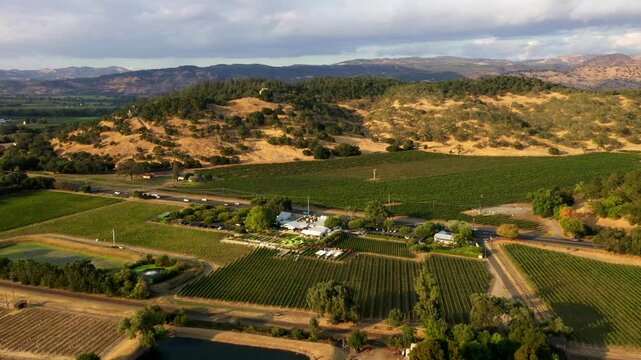 High angle drone orbit over sunlit vineyards and open Napa countryside terrain, golden hour backdrop
