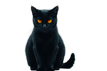 Mysterious black cat with glowing eyes in a dark background