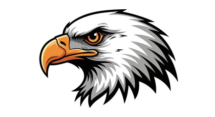 Detailed Vector Illustration of a Majestic Bald Eagle Head