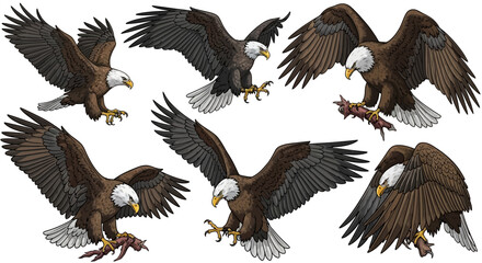 Diverse Bald Eagles in Flight and Attack