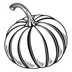 Pumpkin sketch with vertical stripes and a curved stem offers a seasonal charm