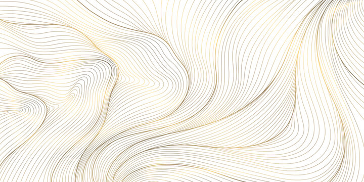 Vector line golden wave on white background, abstract flow shape, water elegant illustration. Premium art graphic, river, ocean smooth element.