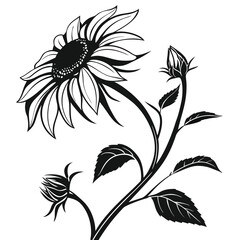 Single sunflower illustration presents delicate leaves, a budding flower, and a black and white motif
