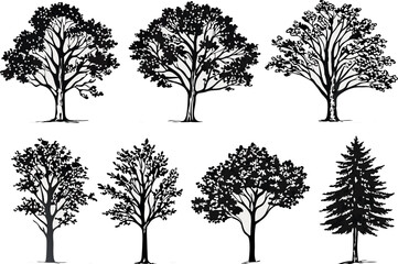 Collection of hand drawn black and white silhouettes of various trees