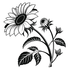 Sunflower illustration showcasing flower, leaves, and stem displayed in simple, elegant, and monochrome line art