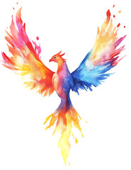 Obraz premium Colorful Phoenix Bird, Rebirth Symbol