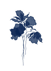 Watercolor Indigo Flowers on White Background
