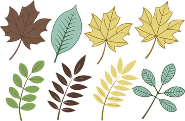 Colorful vector illustration of assorted autumn leaves and foliage for design