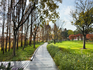 Tranquil Pathway through a Vibrant Autumn Park - Nature's Beauty Captured