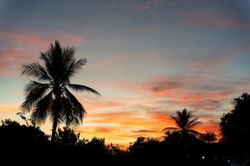 Golden tropical sunset in darwin.
