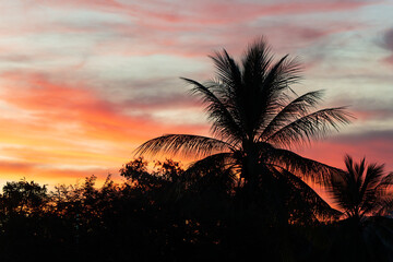 Golden tropical sunset in darwin.