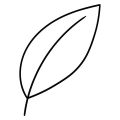 Hand drawn doodle leaf on white background.