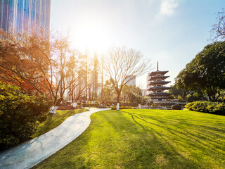 Tranquil Urban Oasis: A Blend of Nature and City Life