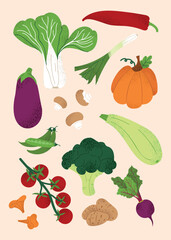Vegetable set with eggplant, pumpkin, tomato, broccoli, mushrooms, peas, zucchini, beetroot. Organic veggie clipart collection. Healthy organic food ingredients. Vector clipart on pastel background.