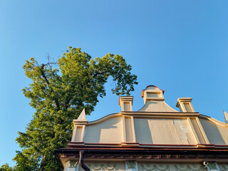 As I gaze upwards at the roof of the historic building, I can see a beautiful tree in the background, creating a delightful contrast to the architecture that features a stunning finial