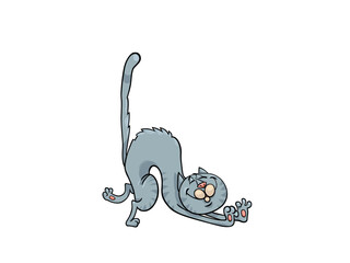 Adorable Gray Cat Stretching Out Its Body With Joyful Expression