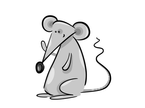 Exploring the Fascinating World of Mice Biology and Behavior