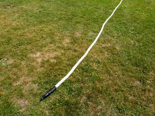 A white rope is laying on the grass
