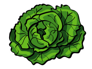 Fresh Green Leafy Vegetable Healthy Food Plant Organic Diet Nutrition