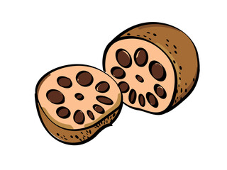 Healthy Root Vegetable with Unique Texture and Distinctive Holes