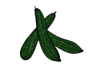 Fresh Green Cucumbers Crossed Over White Background Healthy Vegetables