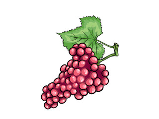 The Mysterious Octopus Tentacle Deep Sea Wonders Below the Surface