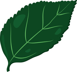 tree leaf, green, foliage, autumn, falling, nature, foliage, apple leaf, plant, fresh, green leaf, close up, leaves,