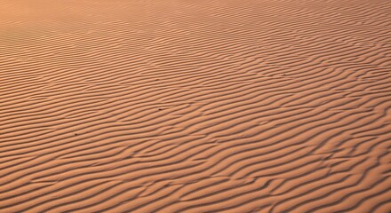 Sand Dune Landscape with Waves of Sand and Warm Desert Light