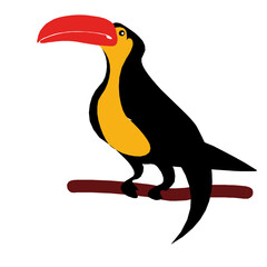 Vibrant Toucan Bird Perched on a Branch with Bright Red Beak