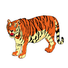 Majestic Tiger Standing Proudly with Striking Orange and Black Fur
