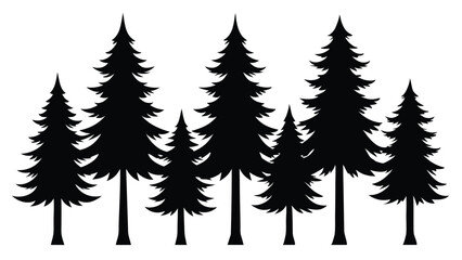 Fototapeta premium Silhouettes of evergreen trees in a forest
