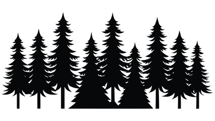 Fototapeta premium Majestic silhouette of a pine forest at sunset