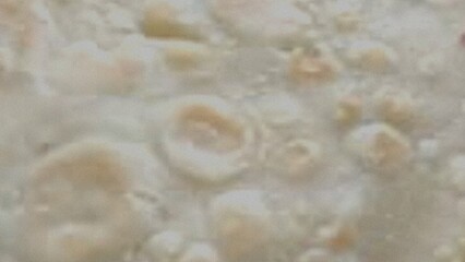 Closeup of a creamy beige textured surface