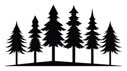 Fototapeta premium Silhouetted evergreen trees on a hilltop