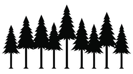Fototapeta premium Silhouetted pine trees forest winter nature landscape
