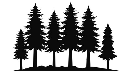 Fototapeta premium Majestic silhouette of evergreen trees in a forest