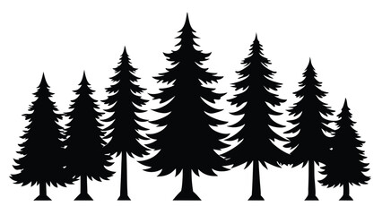 Obraz premium Silhouettes of evergreen trees in a forest