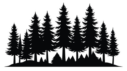 Majestic silhouette of evergreen trees in a forest