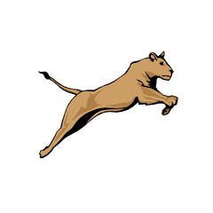 Elegant golden lioness leaping in the dark