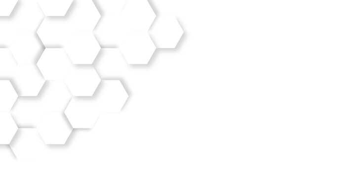 Modern geometrical dynamic and seamless abstract white background. Abstract background in white and gray shadows. Abstract geometric background Template for branding business technology concept design - Powered by Adobe